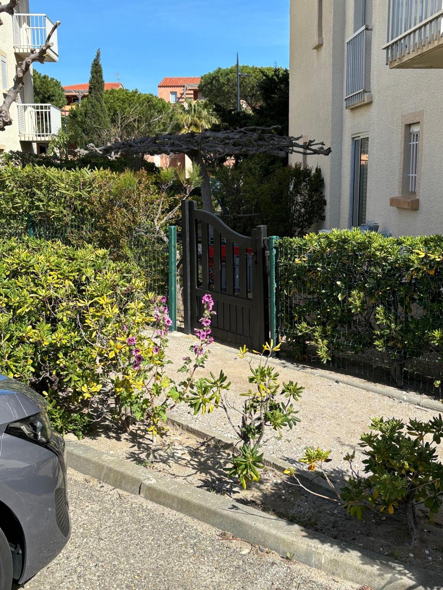 Appartement T2 Cosy Avec Jardin Barcares Village *